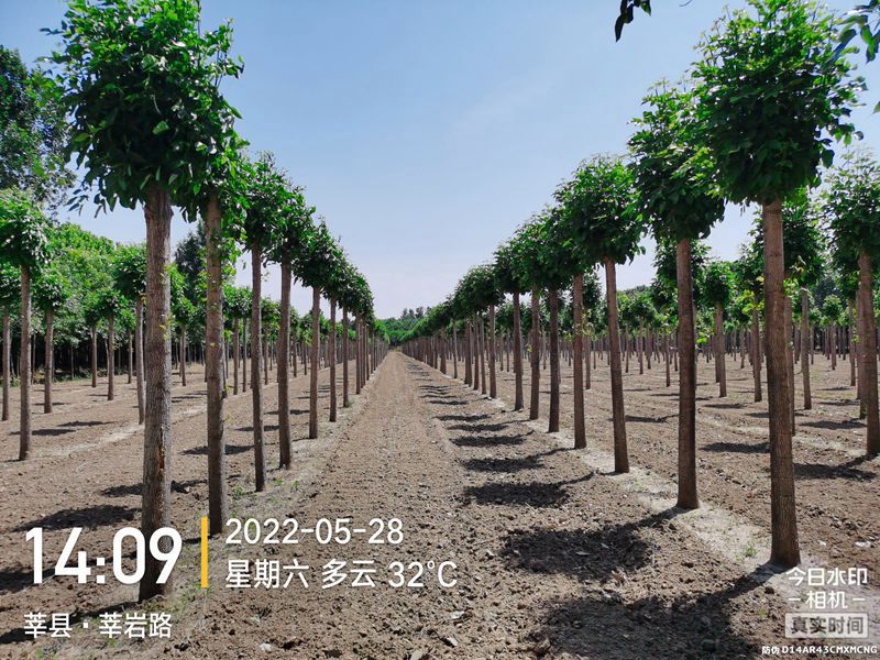 IMG_20220528_140918278_副本_副本.jpg